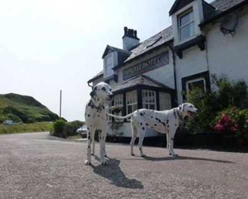 Argyll Hotel in Campbeltown