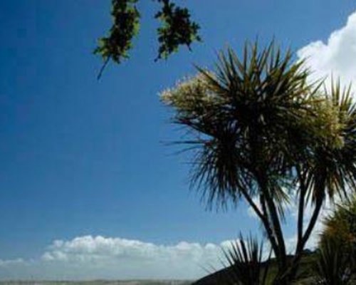 Carbis Bay and Spa Hotel in St Ives