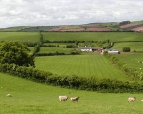 Combe Lancey Farmhouse B&B in Crediton