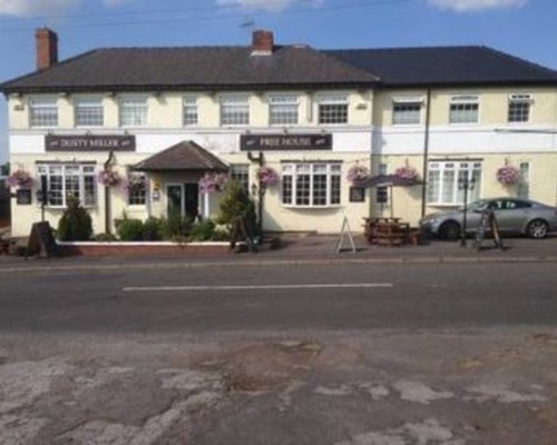 Dusty Miller in Barlborough