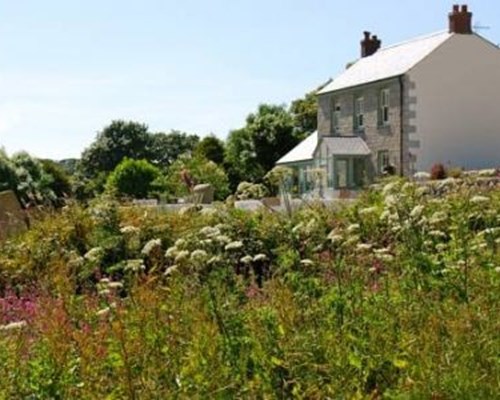 Fig Tree House in Penryn