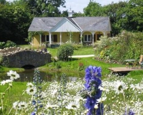 Glyndwr Vineyard in Cowbridge