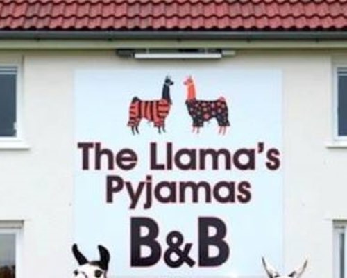 Llamas Pyjamas in Penrith