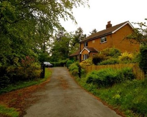 Llys y Coed in Brechfa