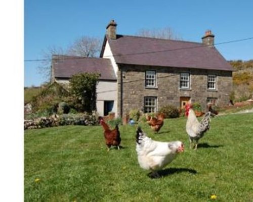 Nantgwynfaen Organic Farm B&B Wales in Llandysul