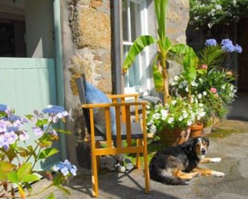 Orchard Cottage in Newlyn Nr Penzance