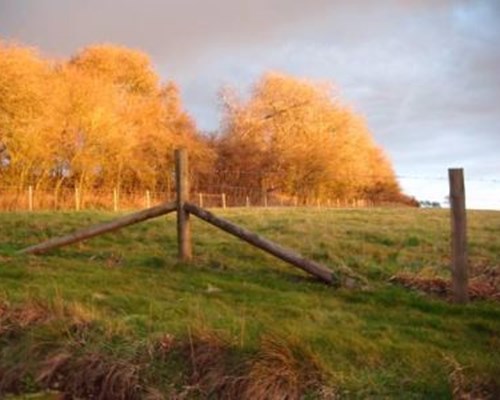 Shaws Farm in Ashford