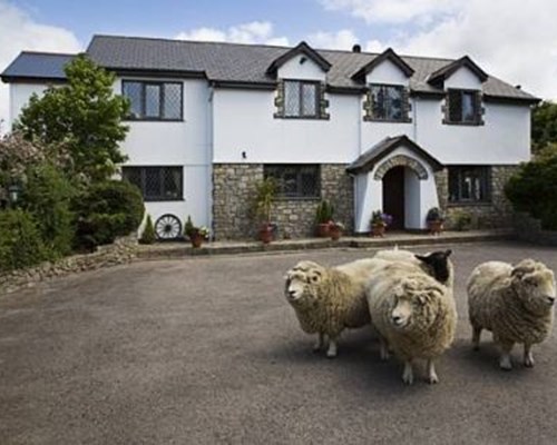 Sheepleys B&B in Cowbridge