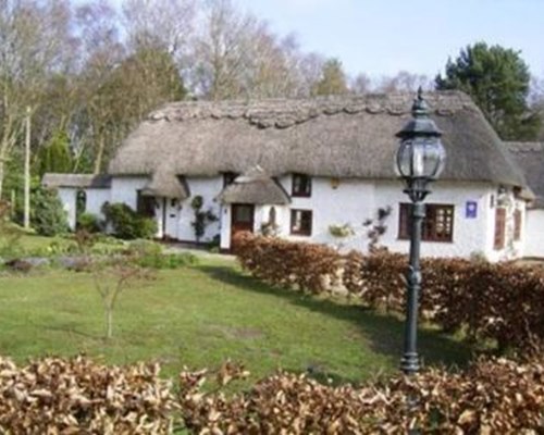 Thatch Cottage Guest House in Wimborne Minster
