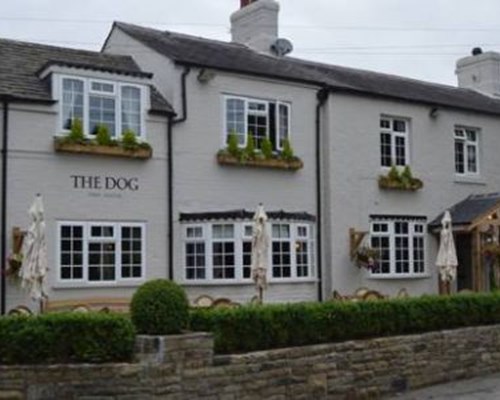 The Dog in Over Peover in Knutsford