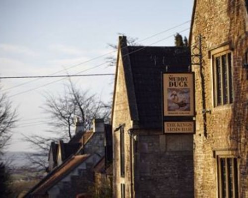 The Muddy Duck in Bath