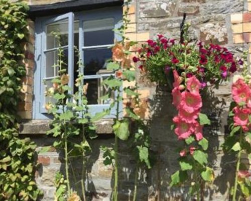 The Old Stable in Winkleigh