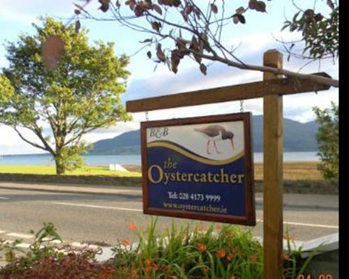 The Oystercatcher in Rostrevor