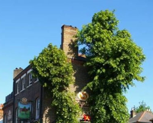 The Red Cow - Guest House in Richmond Upon Thames