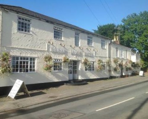 The Stuffed Dormouse Hotel in Newport