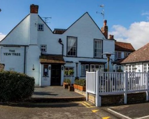 The Yew Tree in Stansted Mountfitchet