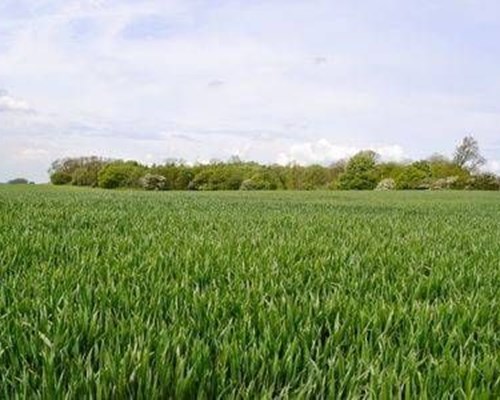 Waggoners Barn in North Willingham