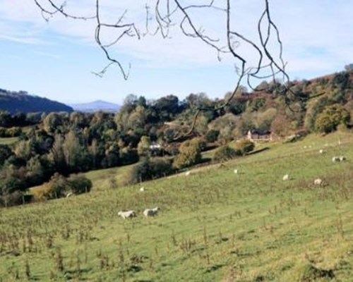 White Rocks in Garway Hills Hereford