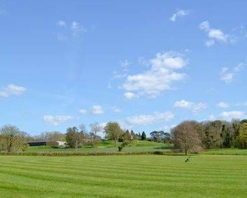 White Wing in Damerham