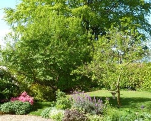 Apple Tree Cottage B&B in Salisbury