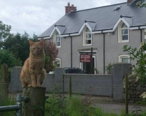 Bay Cottage Bed & Breakfast in Crumlin