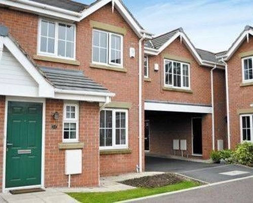Foxgloves in Lytham St Anne’s