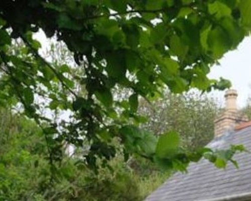Garden Cottage Guest House in Aberystwyth