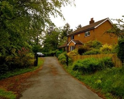 Llys y Coed in Brechfa