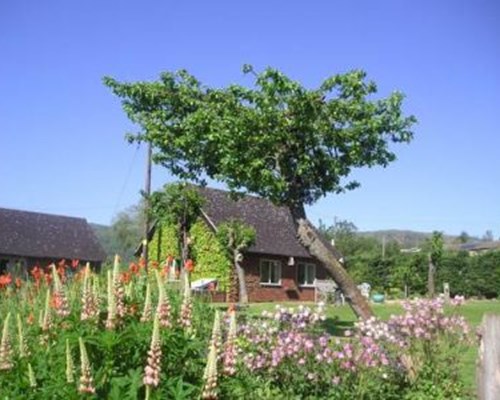Myrtleberry Accommodation in Castlemorton