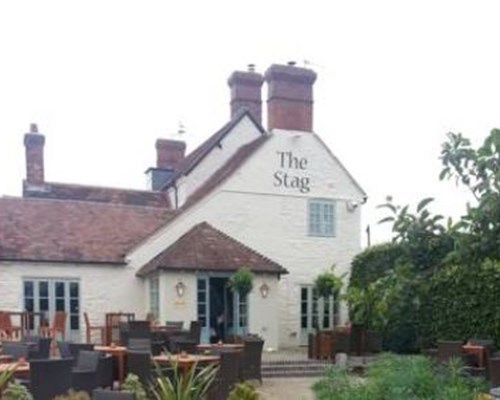 Stag in Stratford upon Avon