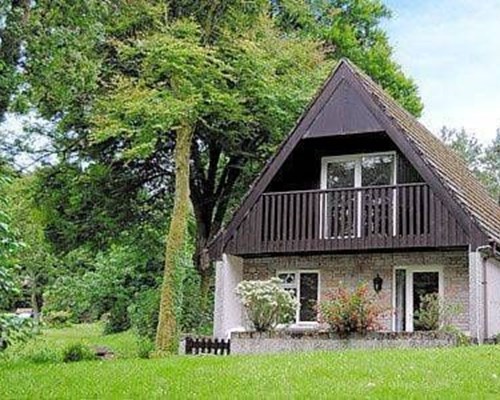 Woodlands in Honicombe